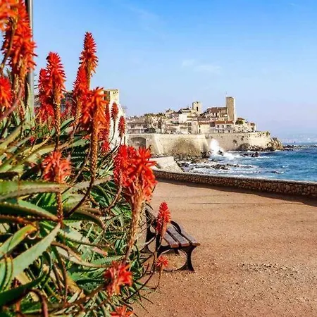 וילה Provencal Avec Piscine