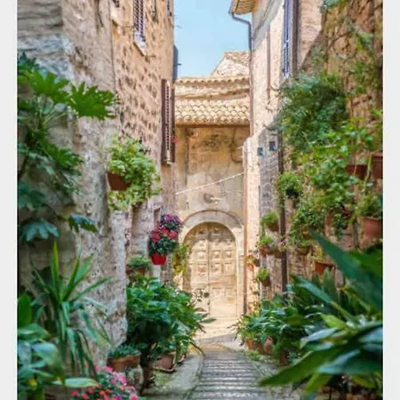 Provencal Avec Piscine *